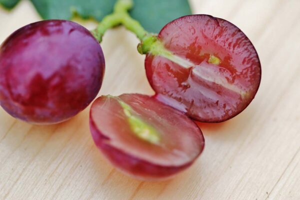 Толщина кожицы и консистенция ягод