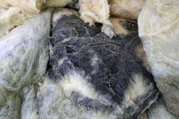 Минеральная вата опасна для здоровья